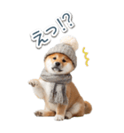 毎日使えるBIG柴犬【連絡・でか文字】（個別スタンプ：9）