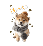 毎日使えるBIG柴犬【連絡・でか文字】（個別スタンプ：20）
