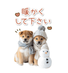 毎日使えるBIG柴犬【連絡・でか文字】（個別スタンプ：25）