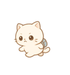 毎日に寄り添う♪ぽちゃネコの癒しスタンプ（個別スタンプ：1）