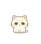 毎日に寄り添う♪ぽちゃネコの癒しスタンプ（個別スタンプ：14）