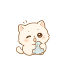 毎日に寄り添う♪ぽちゃネコの癒しスタンプ（個別スタンプ：16）