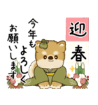 飛び出す柴犬さん 2026 「新年」（個別スタンプ：5）