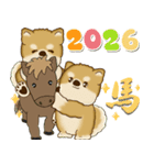 飛び出す柴犬さん 2026 「新年」（個別スタンプ：6）