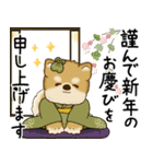 飛び出す柴犬さん 2026 「新年」（個別スタンプ：7）