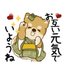 飛び出す柴犬さん 2026 「新年」（個別スタンプ：13）