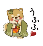 飛び出す柴犬さん 2026 「新年」（個別スタンプ：18）