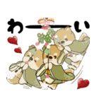 飛び出す柴犬さん 2026 「新年」（個別スタンプ：20）