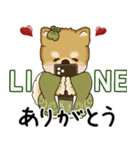 飛び出す柴犬さん 2026 「新年」（個別スタンプ：21）