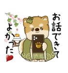 飛び出す柴犬さん 2026 「新年」（個別スタンプ：22）