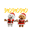踊る！サンタトイプードル【クリスマス】（個別スタンプ：2）