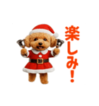 踊る！サンタトイプードル【クリスマス】（個別スタンプ：3）