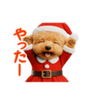 踊る！サンタトイプードル【クリスマス】（個別スタンプ：4）