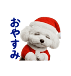 踊る！サンタトイプードル【クリスマス】（個別スタンプ：6）
