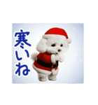 踊る！サンタトイプードル【クリスマス】（個別スタンプ：7）