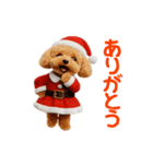 踊る！サンタトイプードル【クリスマス】（個別スタンプ：8）