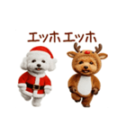 踊る！サンタトイプードル【クリスマス】（個別スタンプ：12）