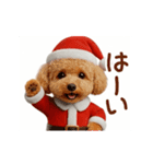 踊る！サンタトイプードル【クリスマス】（個別スタンプ：15）