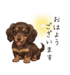 いつでも使える♡ダックスの日常（個別スタンプ：1）