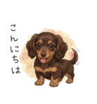 いつでも使える♡ダックスの日常（個別スタンプ：2）