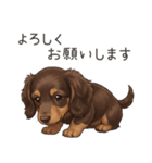 いつでも使える♡ダックスの日常（個別スタンプ：4）