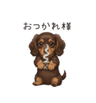 いつでも使える♡ダックスの日常（個別スタンプ：5）