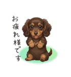 いつでも使える♡ダックスの日常（個別スタンプ：6）