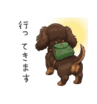 いつでも使える♡ダックスの日常（個別スタンプ：7）