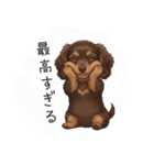 いつでも使える♡ダックスの日常（個別スタンプ：13）