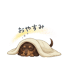 いつでも使える♡ダックスの日常（個別スタンプ：14）