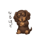 いつでも使える♡ダックスの日常（個別スタンプ：15）