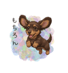 いつでも使える♡ダックスの日常（個別スタンプ：16）
