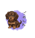 いつでも使える♡ダックスの日常（個別スタンプ：18）