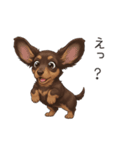 いつでも使える♡ダックスの日常（個別スタンプ：20）