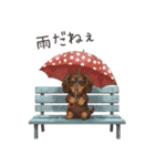 いつでも使える♡ダックスの日常（個別スタンプ：22）