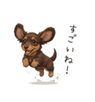 いつでも使える♡ダックスの日常（個別スタンプ：25）