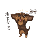 いつでも使える♡ダックスの日常（個別スタンプ：26）
