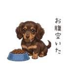いつでも使える♡ダックスの日常（個別スタンプ：27）