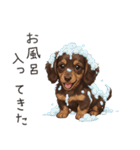 いつでも使える♡ダックスの日常（個別スタンプ：28）
