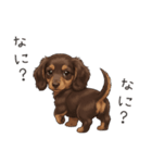 いつでも使える♡ダックスの日常（個別スタンプ：29）