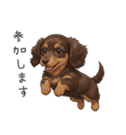 いつでも使える♡ダックスの日常（個別スタンプ：34）