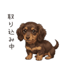 いつでも使える♡ダックスの日常（個別スタンプ：35）