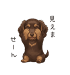 いつでも使える♡ダックスの日常（個別スタンプ：36）