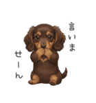 いつでも使える♡ダックスの日常（個別スタンプ：38）