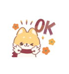 しばワンコの冬の気遣いスタンプ（個別スタンプ：1）
