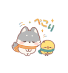 しばワンコの冬の気遣いスタンプ（個別スタンプ：2）