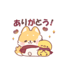 しばワンコの冬の気遣いスタンプ（個別スタンプ：3）