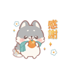 しばワンコの冬の気遣いスタンプ（個別スタンプ：5）