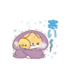 しばワンコの冬の気遣いスタンプ（個別スタンプ：14）