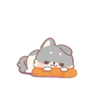 しばワンコの冬の気遣いスタンプ（個別スタンプ：28）